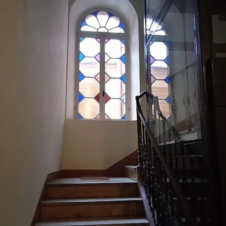 Crisopoli In Pieno Centro A Parma